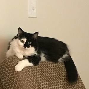 Meet your Posher, Diane